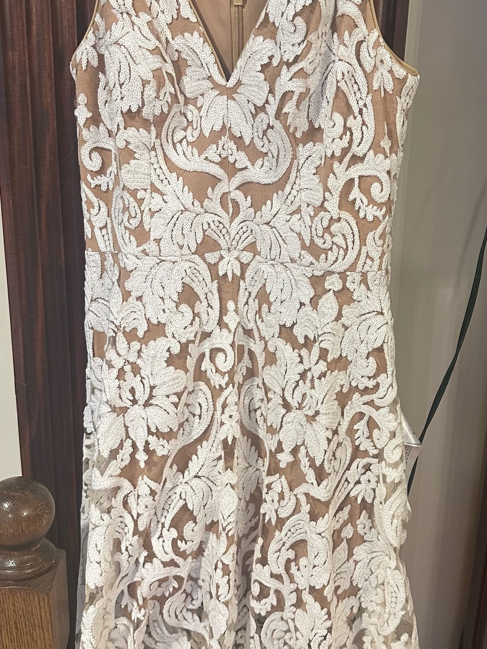 Dress the Population Ivory Lace Appliqué Dress with Nude Base